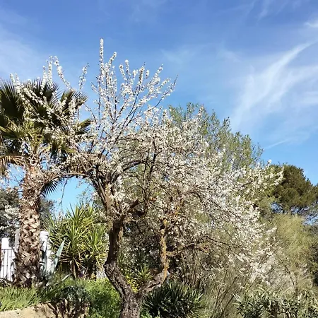 Todos Y Tonya 4* ארצ'ידונה